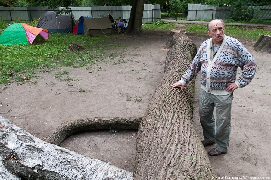 Пила vs. палатка: фоторепортаж "Нового Калининграда.Ru"