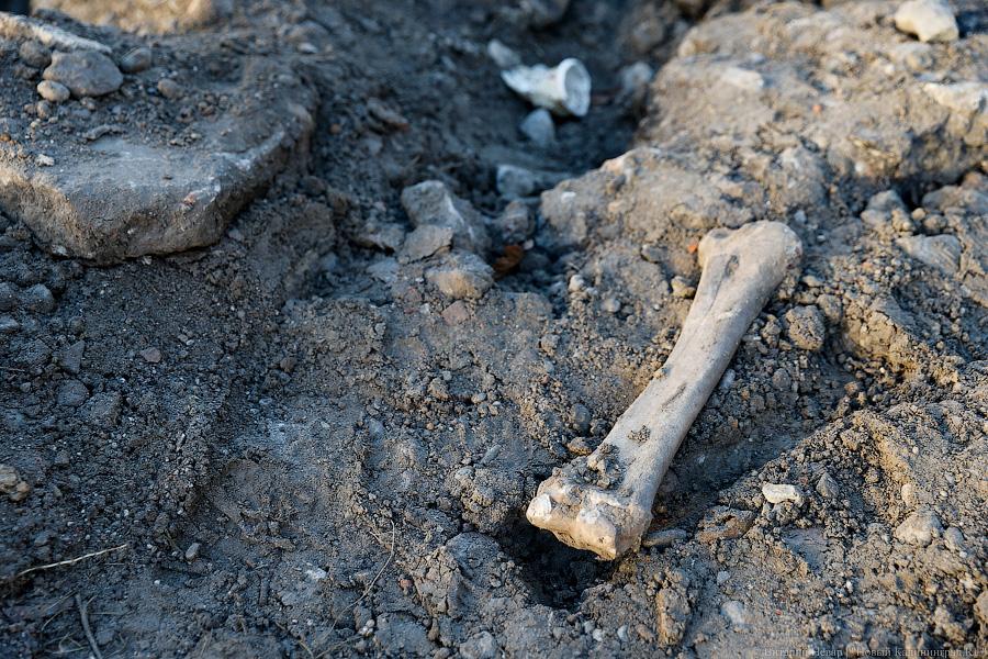 В подвале у калининградца нашли 61 мешок с человеческими костями и оружие