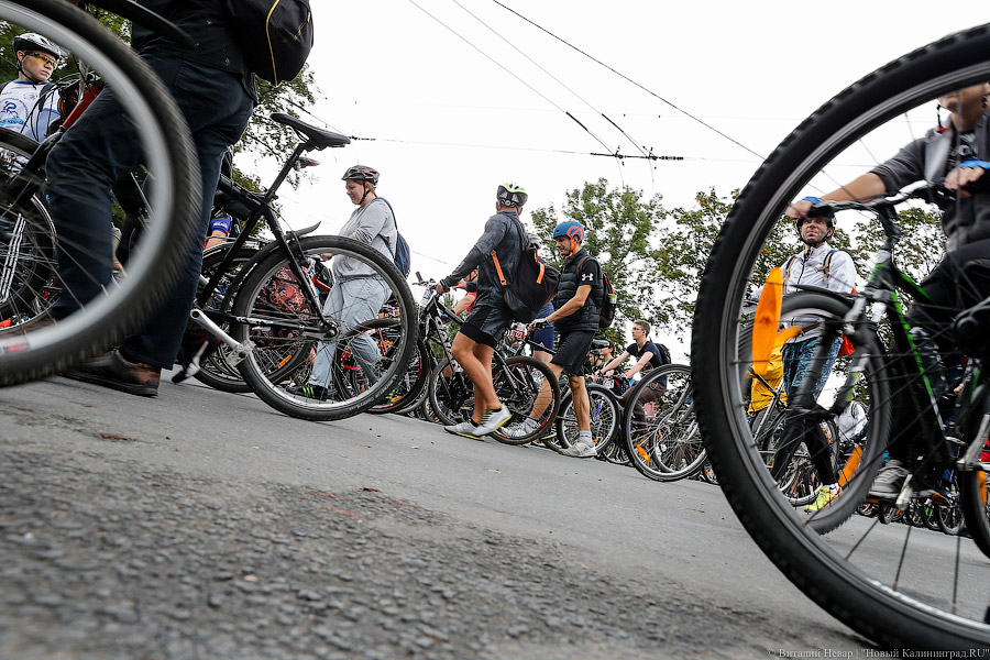 Тур до Кранца: как в Калининграде финишировал велосезон