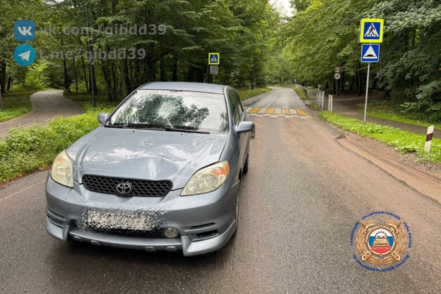 Под Светлогорском водитель «Тойоты» сбил на переходе двух пешеходов