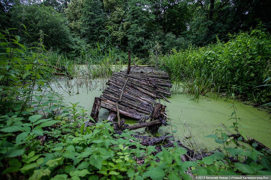 По следам Первой мировой: немецкий обелиск в память о русских воинах
