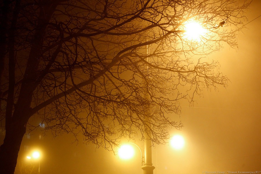 Из-за тумана в «Храброво» не могут приземлиться самолеты