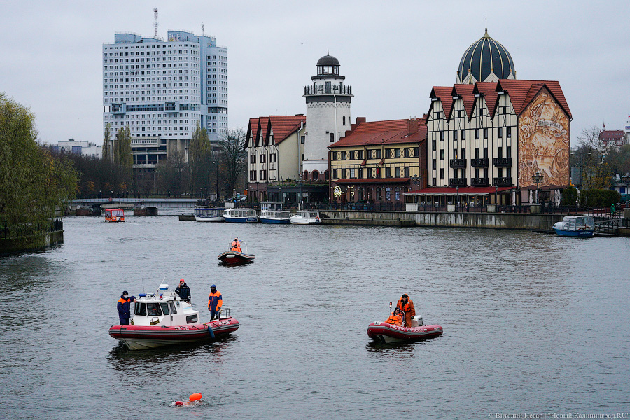 День моржа: как пловцы пытались защитить экосистему Преголи (фото)
