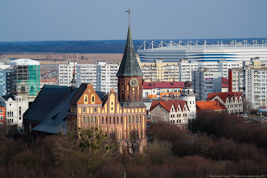 Виталий Невар / Новый Калининград