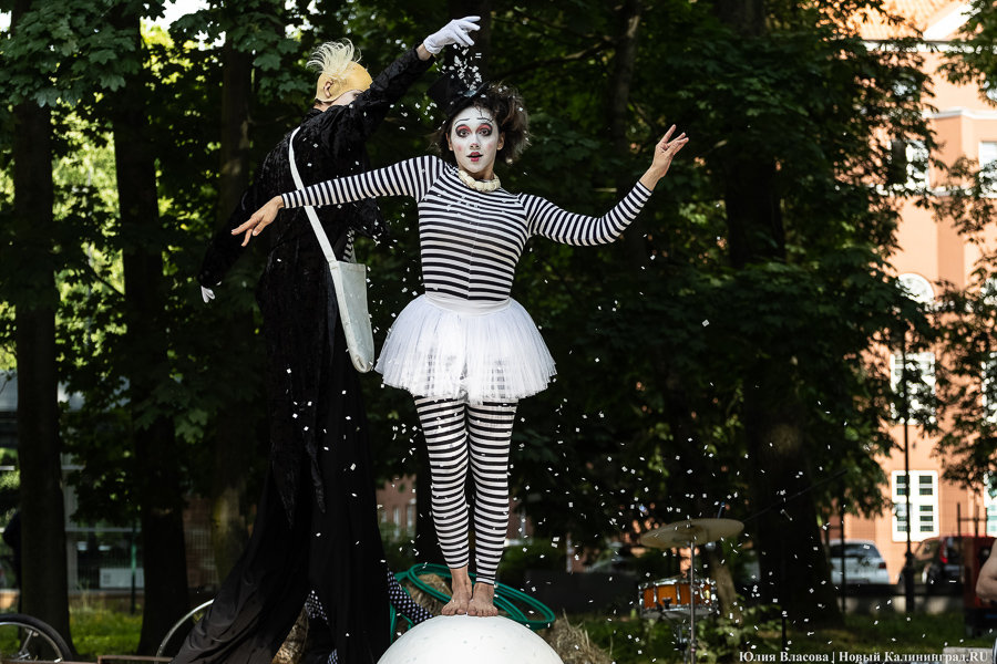 Это просто цирк какой-то: фестиваль «Башня» запустил уличную программу на «Балтике» (фото)