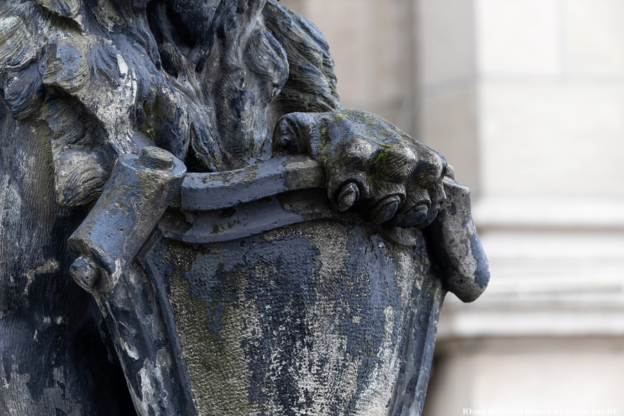 Восстановить и сохранить: скульптуры львов у бывшей биржи готовят к реставрации