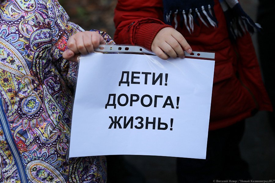 «Заметьте нас»: в Калининграде дети вышли на пикет в поддержку пешеходов 