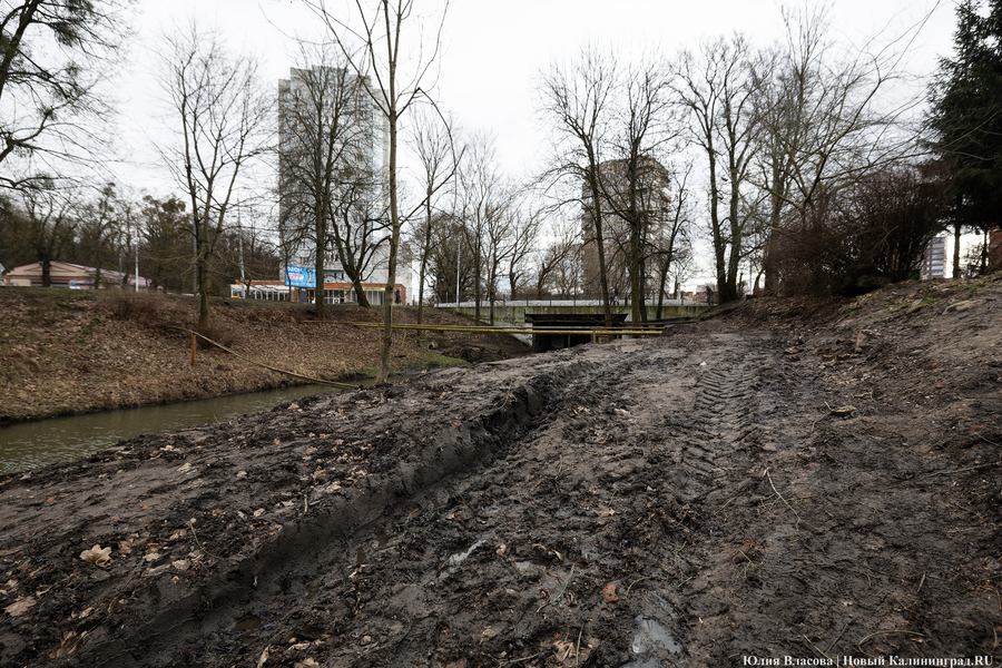 Непролазная грязь: как выглядит берег Литовского ручья в ожидании реновации (фото)