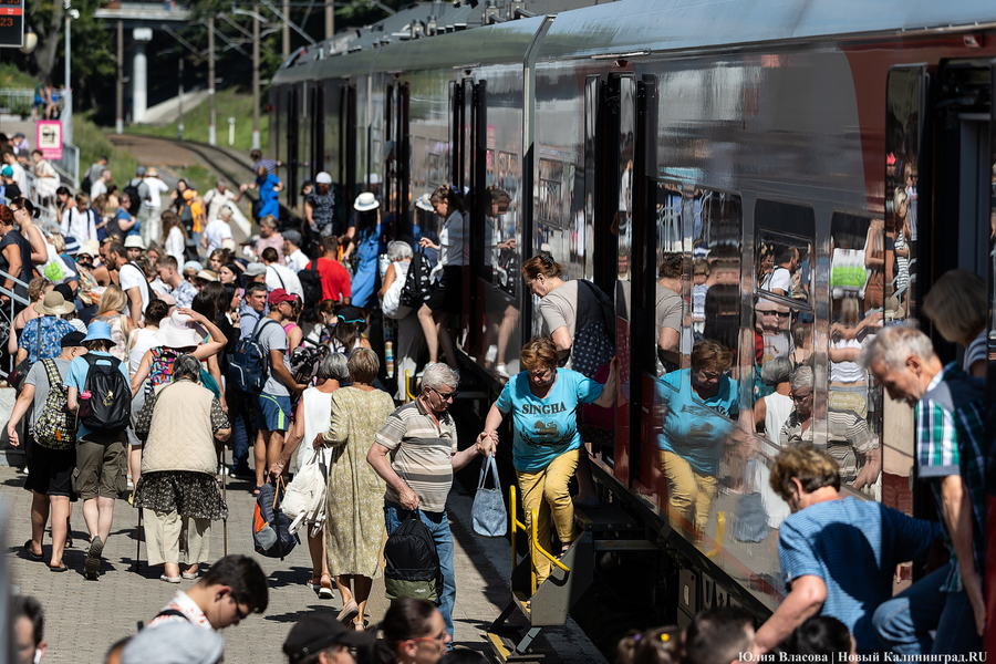 Опалённые солнцем: что происходит в Зеленоградске в рекордную жару (фото)