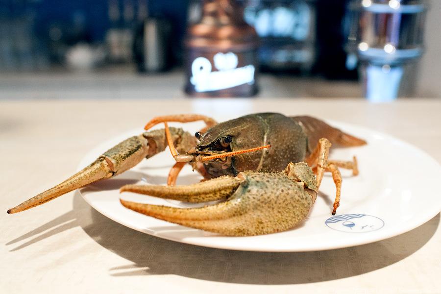 Где раки зимуют: владелец рачевни «Поплавок» Виталий Лозинский