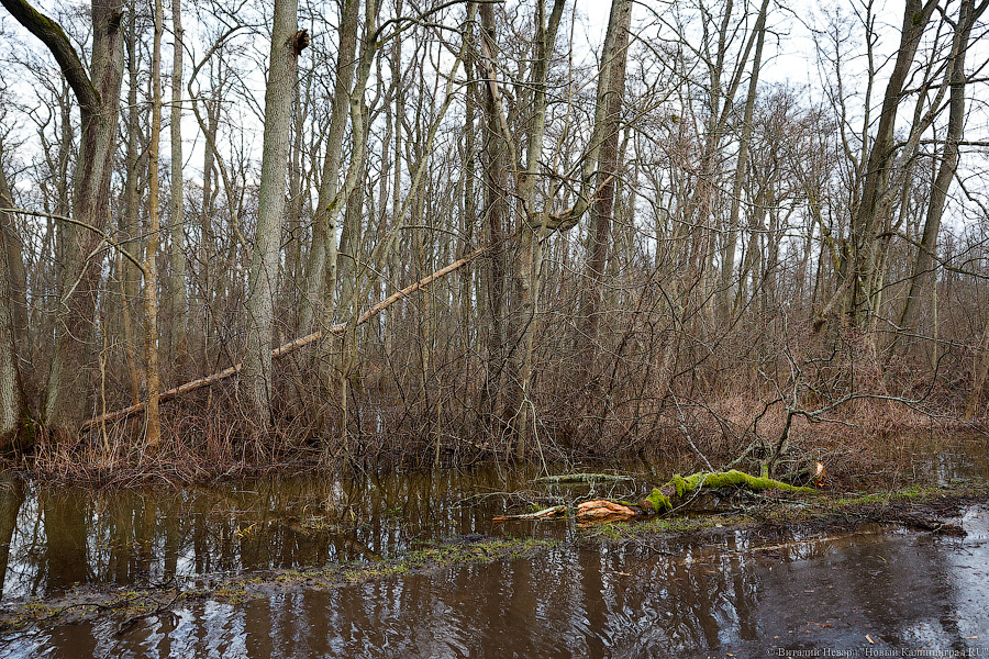 Кто здесь царь: последствия штормов на побережье (фото)