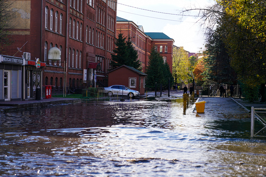 Другой берег улицы: Калининград затопило после шторма (да, опять)