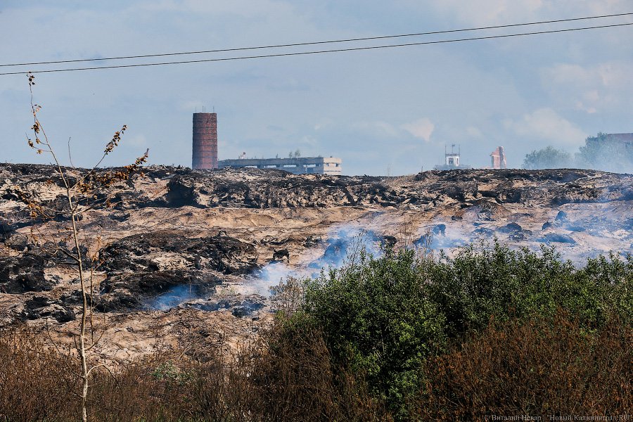 В Калининграде загорелся короотвал ЗАО «Цепрусс»
