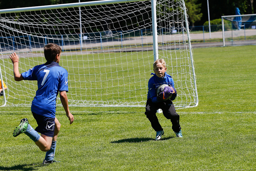 Год в свои ворота: калининградцы торжественно ждут ЧМ-2018