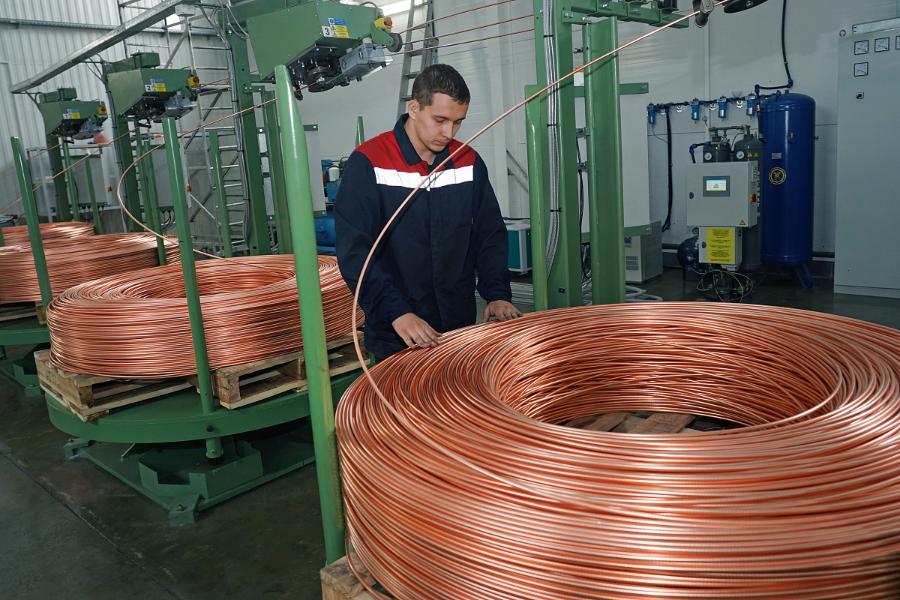 В Калининградской области из-за ограниченного импорта остановили «импортозамещающий проект»