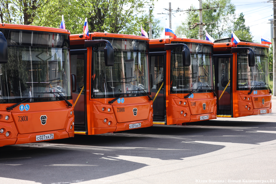 «Не надо искать особенностей»: в Калининграде на линию выпустили новые ЛиАЗы (фото)