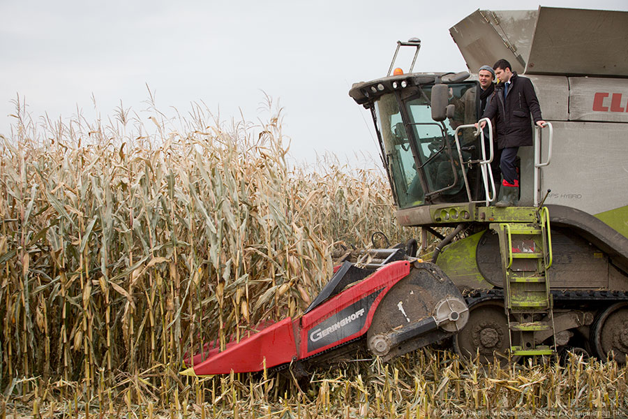 Алиханов объяснил, почему регион не получил денег на компенсацию ущерба от ЧС