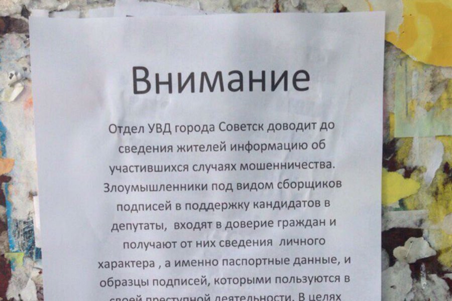 В Советске появились объявления, призывающие сообщать в полицию о сборщиках подписей