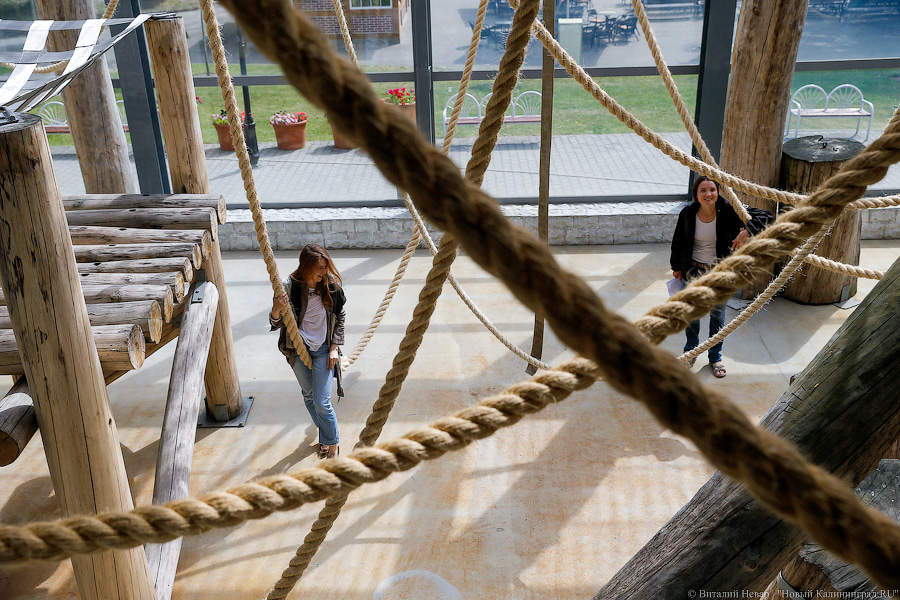 За стеклом: как живется в вольере для орангутанов Калининградского зоопарка