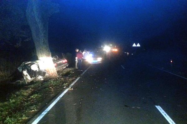 В Зеленоградском районе «Фольксваген» врезался в дерево, двое погибли (фото)