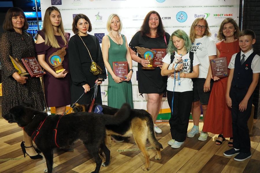 Фото: оргкомитет премии «Мой ласковый и нужный зверь»