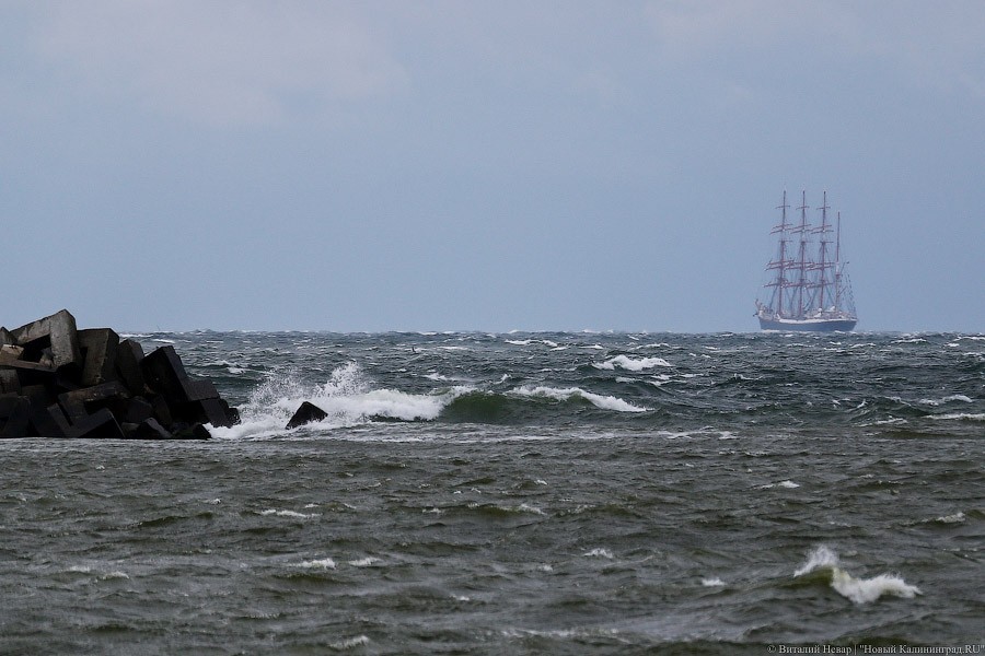 «Закрытый характер»: облвласти о строительстве оптоволоконной линии по дну моря