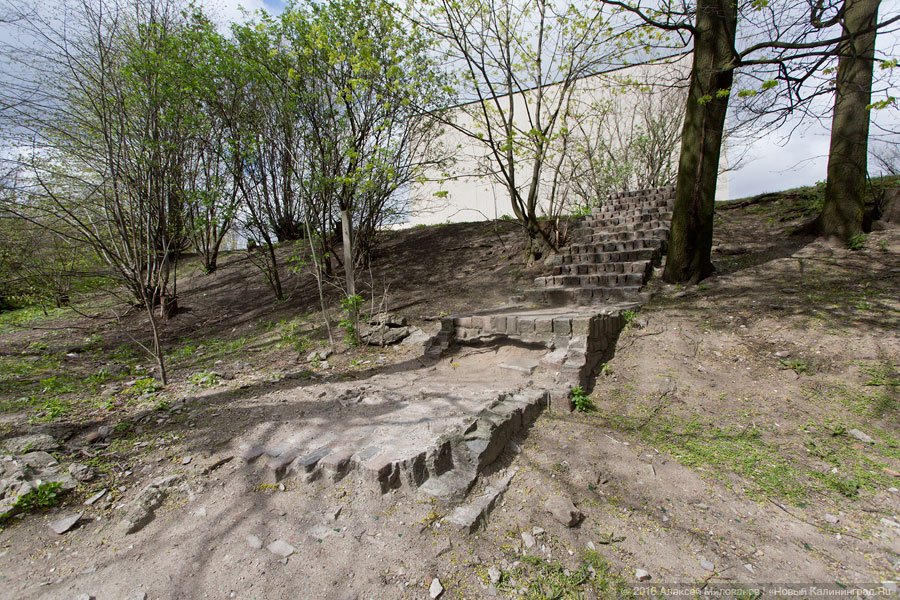 Олег Шкиль: около Дома искусств планируем построить кинотеатр