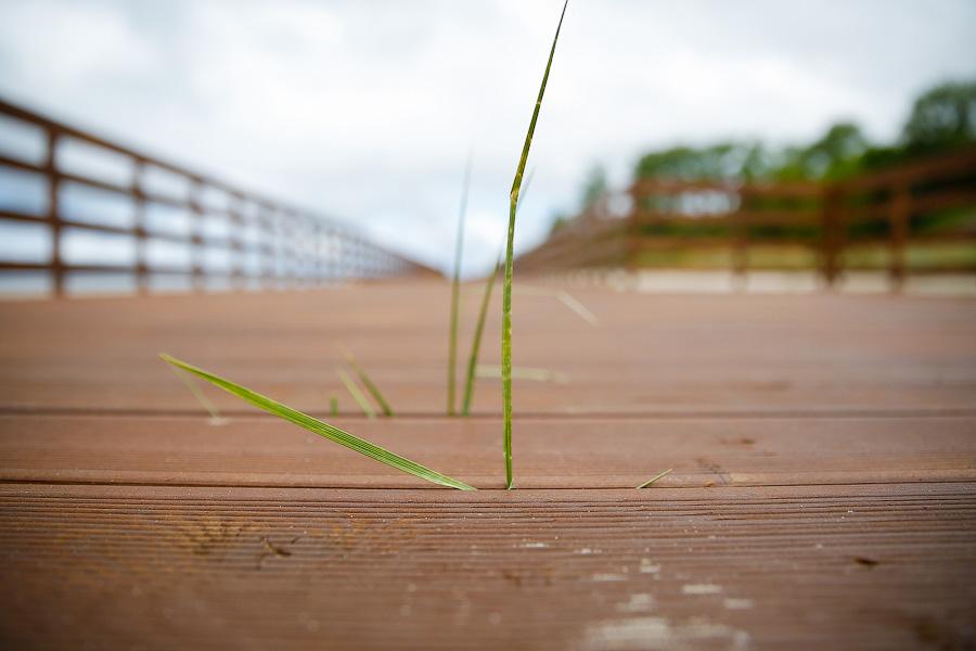 Концы в воду: как обстоят дела с променадом в Янтарном