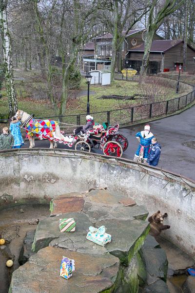 Конина к году Лошади: зоопарк раздал животным любимые лакомства