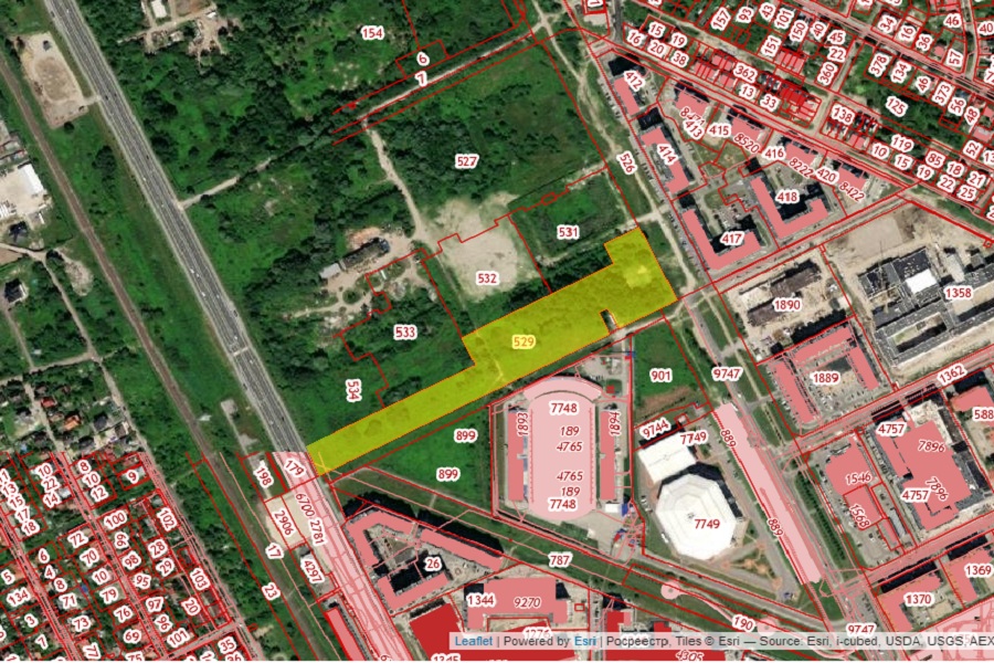 Застройщик получил разрешение вырубить зеленый «самосев» за ДС «Янтарный»