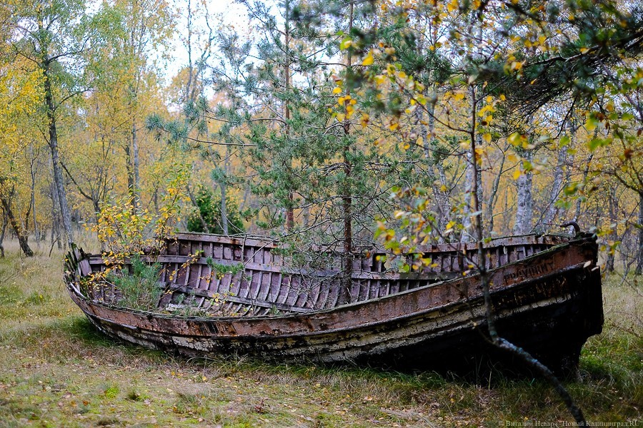 МЧС рекомендует снять с учета гребные лодки