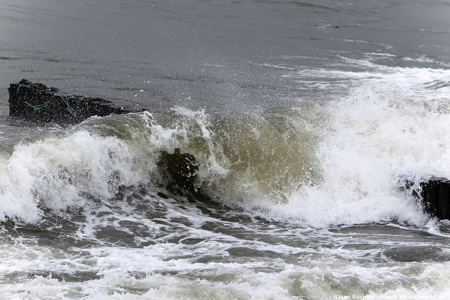 Штормовая вселенная: как циклон «Золтан» накрыл Зеленоградск (фото)