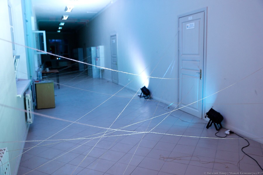 Место встречи изменить нельзя: как в БФУ прошла пятая «Ночь в университете» 