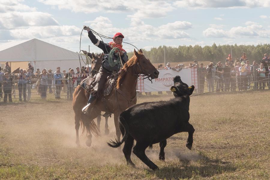 Калининградские ковбои стали вице-чемпионами всероссийского турнира «Родео-2016»