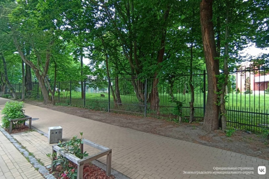 В Зеленоградске планируют открыть галерею под открытым небом на Крымской