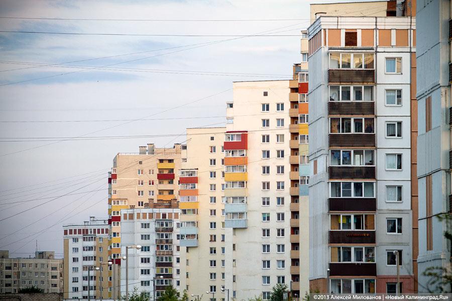 Ленинградский район: инфраструктура и многообразие 
