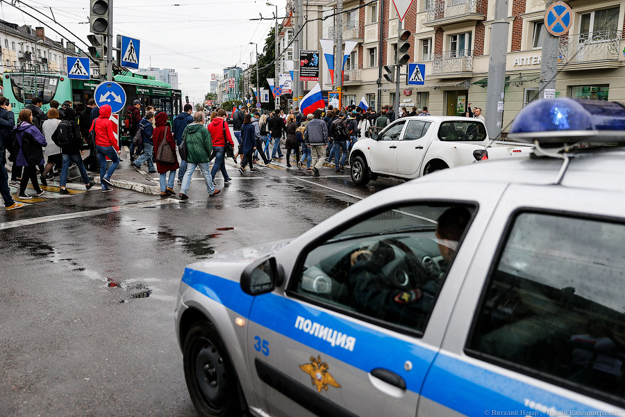 Утки-мандаринки: в Калининграде прошло шествие против коррупции