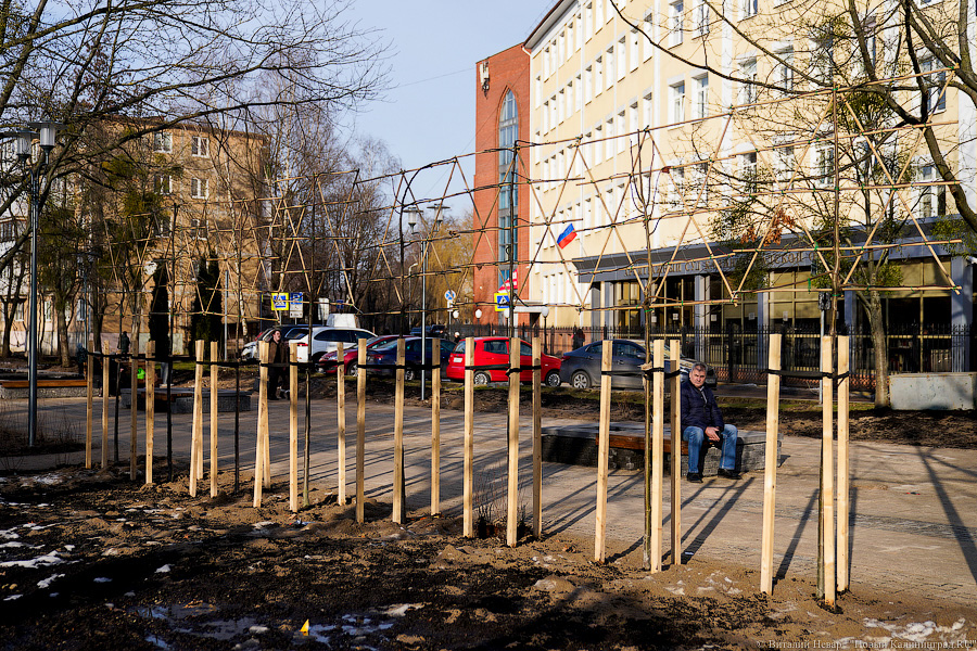 Как выглядит обновленная пешеходная зона на улице Рокоссовского без снега (фото)