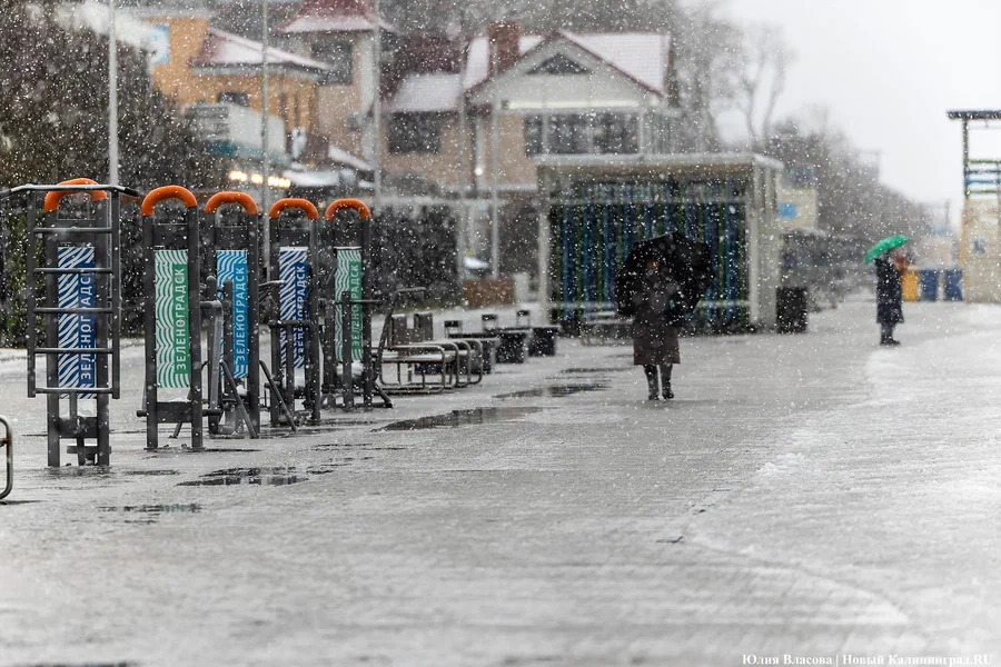 Фото Юлия Власова / Новый Калининград