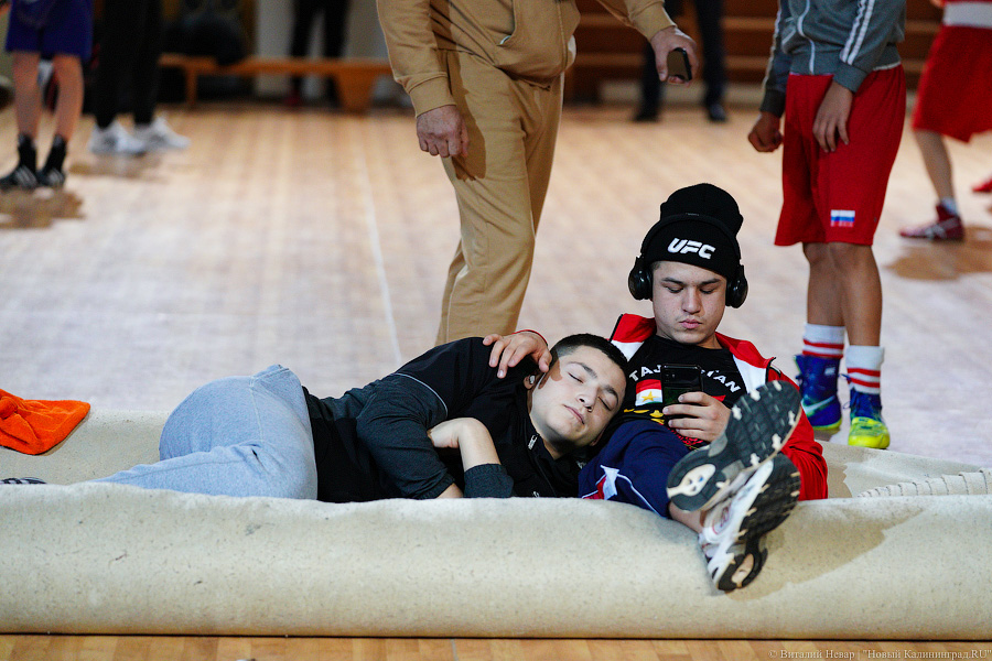 Очередной нокдаун: в Калининграде прошёл международный турнир по боксу «Янтарные перчатки»