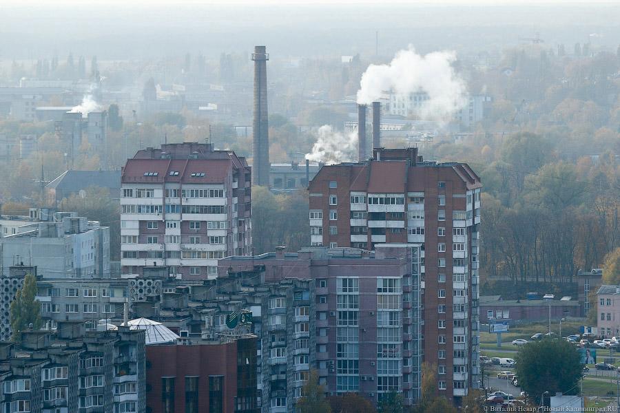 Калининградцы стали чаще жениться и реже разводиться