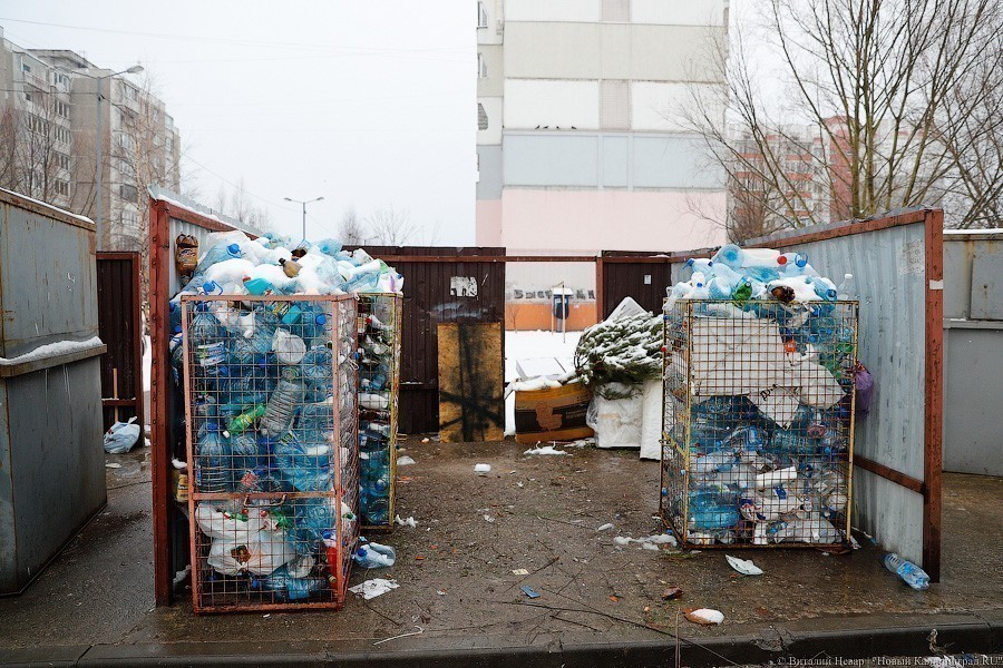 Не надо обольщаться: какой раздельный мусор пойдет в переработку в Калининграде