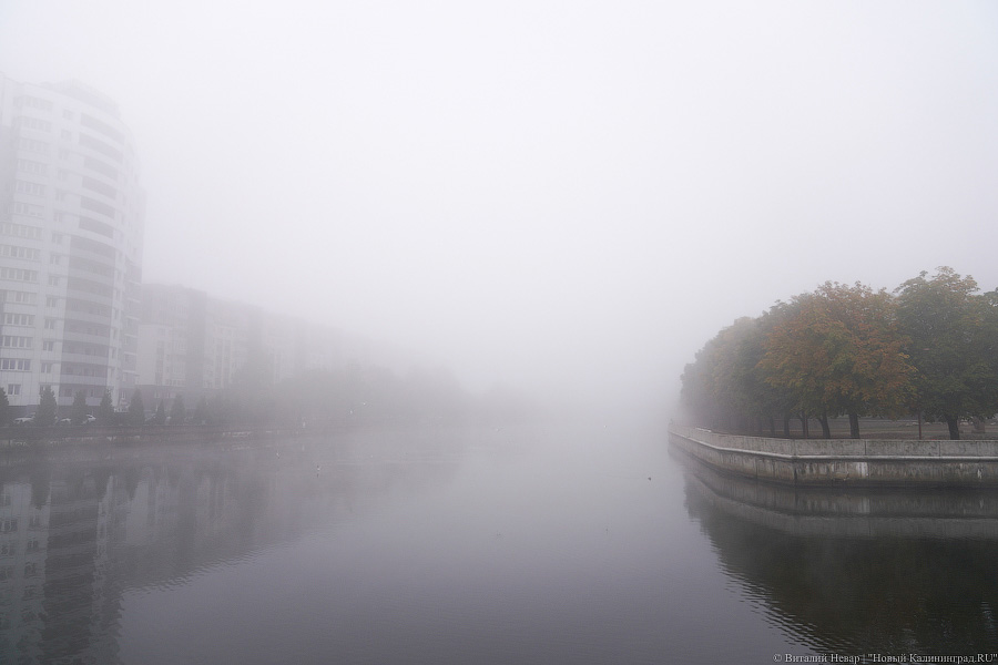 На Калининград опустился туман. Посмотрите, как это красиво (фото)