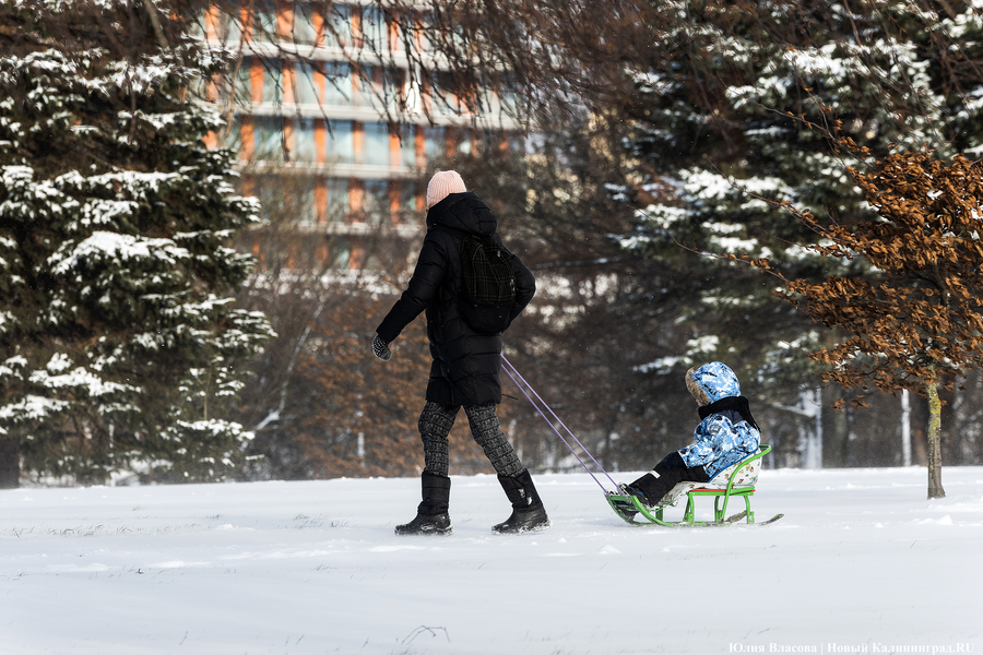 Внезапный снег: Калининград опять оказался не готов к осадкам (фото)