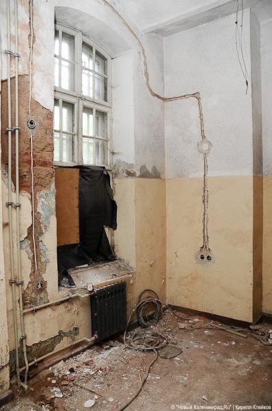 "Инфекционные горизонты": репортаж "Нового Калининграда.Ru"