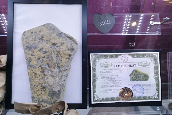 В музее Елены Гратий открылся к показу окаменелый отпечаток динозавра