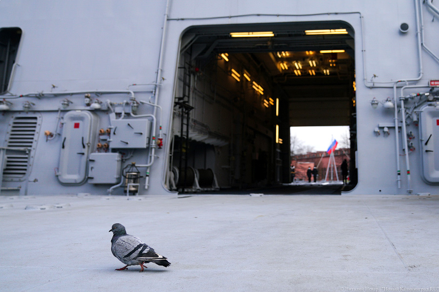 «Экипаж готов»: завод «Янтарь» передал ВМФ корабль «Пётр Моргунов»