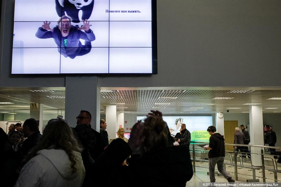 «Последние дни „Рейхстага“»: фоторепортаж из аэропорта «Храброво»