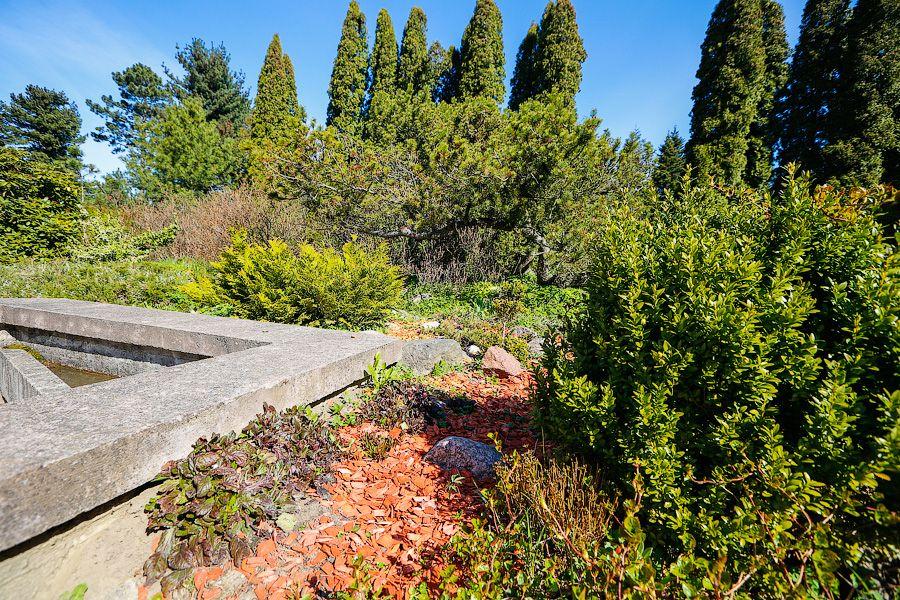 Пастораль ручной работы: весенний Ботанический сад