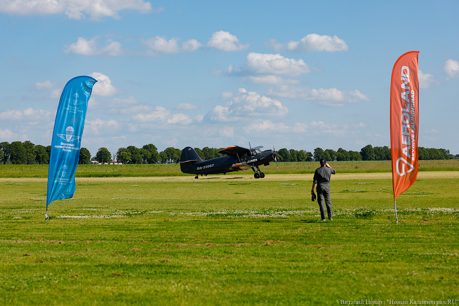 Люди как птицы: под Калининградом прошел этап Кубка России по купольному пилотированию (фото)